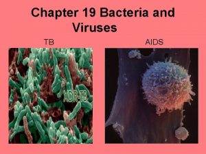 Chapter 19 Bacteria and Viruses TB AIDS Microbiology