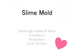 Slime Mold Koshi high school of Fukui Erina