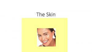 The Skin Skin is the organ functions Integument