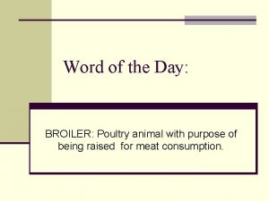 Word of the Day BROILER Poultry animal with