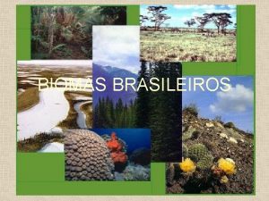 BIOMAS BRASILEIROS Bioma um conjunto de diferentes ecossistemas