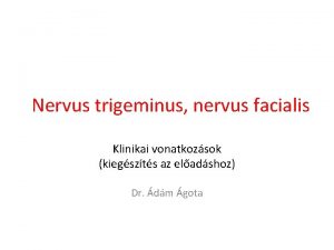 Nervus trigeminus nervus facialis Klinikai vonatkozsok kiegszts az