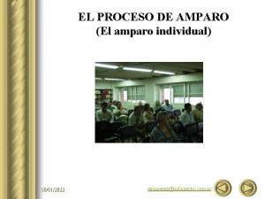 EL PROCESO DE AMPARO El amparo individual 10012022