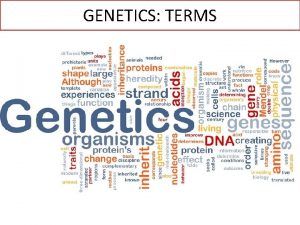 GENETICS TERMS Homologous Chromosomes A pair of chromosome