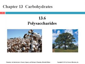 Chapter 13 Carbohydrates 1 13 6 Polysaccharides Chemistry