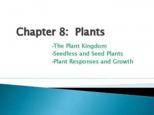 Chapter 8 Plants The Plant Kingdom Seedless and