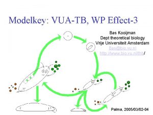 Modelkey VUATB WP Effect3 Bas Kooijman Dept theoretical