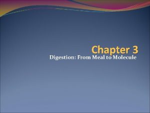 Chapter 3 Digestion From Meal to Molecule DEFINATIONS