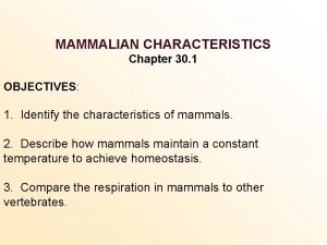 MAMMALIAN CHARACTERISTICS Chapter 30 1 OBJECTIVES 1 Identify