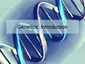 Genetics Introduction What is genetics Genetics the study