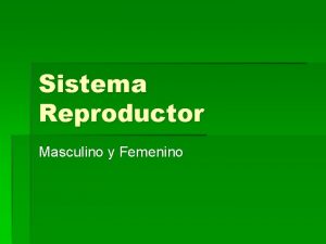 Sistema Reproductor Masculino y Femenino Sistema reproductor masculino
