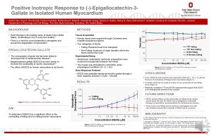Positive Inotropic Response to Epigallocatechin3 Gallate in Isolated