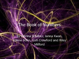 The Book of Numbers By Katrina Schillaci Janna