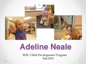 Adeline Neale WSU Child Development Program Fall 2014