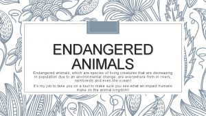ENDANGERED ANIMALS Endangered animals which are species of