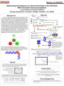 Determining the Existence of a Second Promoter in