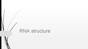 1 RNA structure 2 RNA structure RNA can