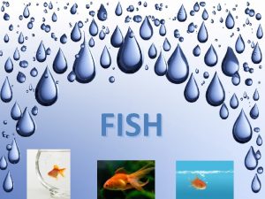 FISH Interesting facts about fish Fish have been