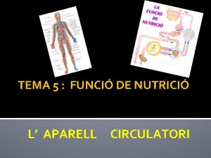 TEMA 5 FUNCI DE NUTRICI L APARELL CIRCULATORI