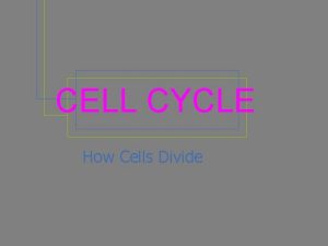 CELL CYCLE How Cells Divide Cell Cycle Notes