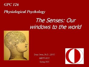 GPC 126 Physiological Psychology The Senses Our windows