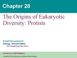 Chapter 28 The Origins of Eukaryotic Diversity Protists