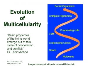 Evolution of Multicellularity Basic properties of the living