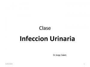Clase Infeccion Urinaria Dr Jorge Zaiatz 10012022 1