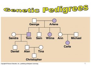 1 Genetic pedigrees are like family trees They
