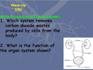 WarmUp 204 Write the question and correct answer