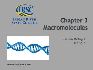 Chapter 3 Macromolecules General Biology I BSC 2010