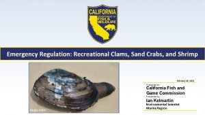 Emergency Regulation Recreational Clams Sand Crabs and Shrimp