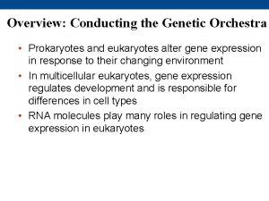 Overview Conducting the Genetic Orchestra Prokaryotes and eukaryotes