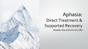 Aphasia Direct Treatment Supported Recovery Elizabeth Wikane MS