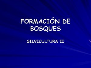 FORMACIN DE BOSQUES SILVICULTURA II BOSQUES NATURALES Y