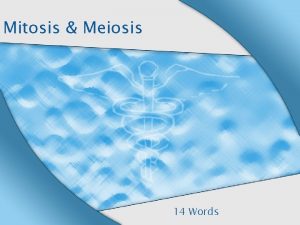 Mitosis Meiosis 14 Words Exchange of chromosomal segments