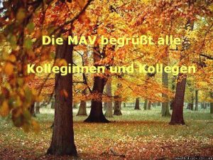 Die MAV begrt alle Kolleginnen und Kollegen Rechenschaftsbericht