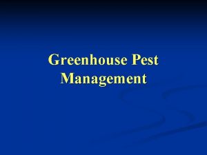 Greenhouse Pest Management Three Types of Greenhouse Pest