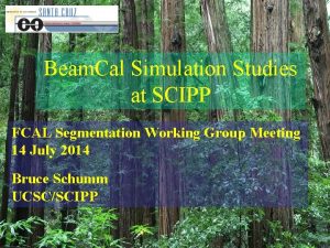 Beam Cal Simulation Studies at SCIPP FCAL Segmentation