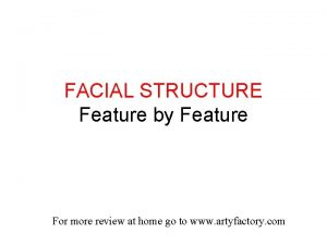 FACIAL STRUCTURE Feature by Feature For more review