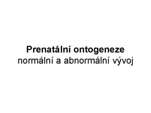 Prenatln ontogeneze normln a abnormln vvoj Spermatogeneze Oogeneze