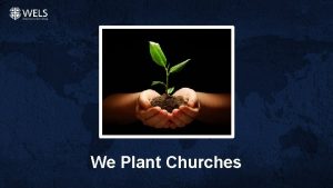 We Plant Churches Then the master told his
