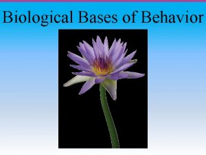 Biological Bases of Behavior The Brain Module Overview