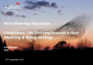 Delivering innovative energy saving solutions Heat Metering Regulation