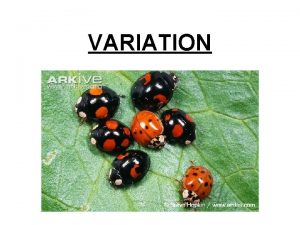 VARIATION What is variation All people are human