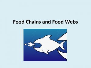 Food Chains and Food Webs Food Chain animals