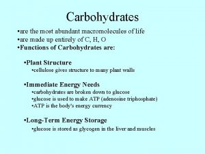 Carbohydrates are the most abundant macromolecules of life