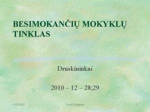 BESIMOKANI MOKYKL TINKLAS Druskininkai 2010 12 28 29
