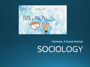 SOCIOLOGY Social Conventions Folkways Mores Laws Sanctions Personal