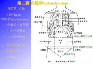 composition Digestive tube Mouth Pharynx Esophagus Stomach Small